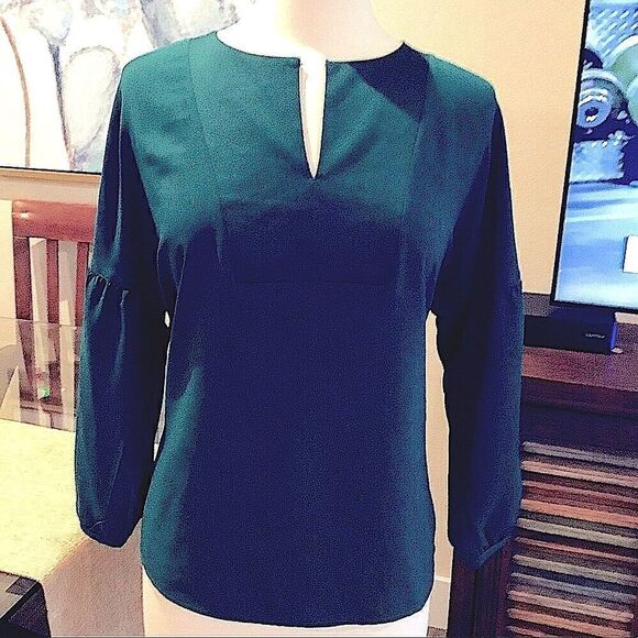 BananaārepublicĀ blouseā
sizeā
Medium - Picture 1 of 9